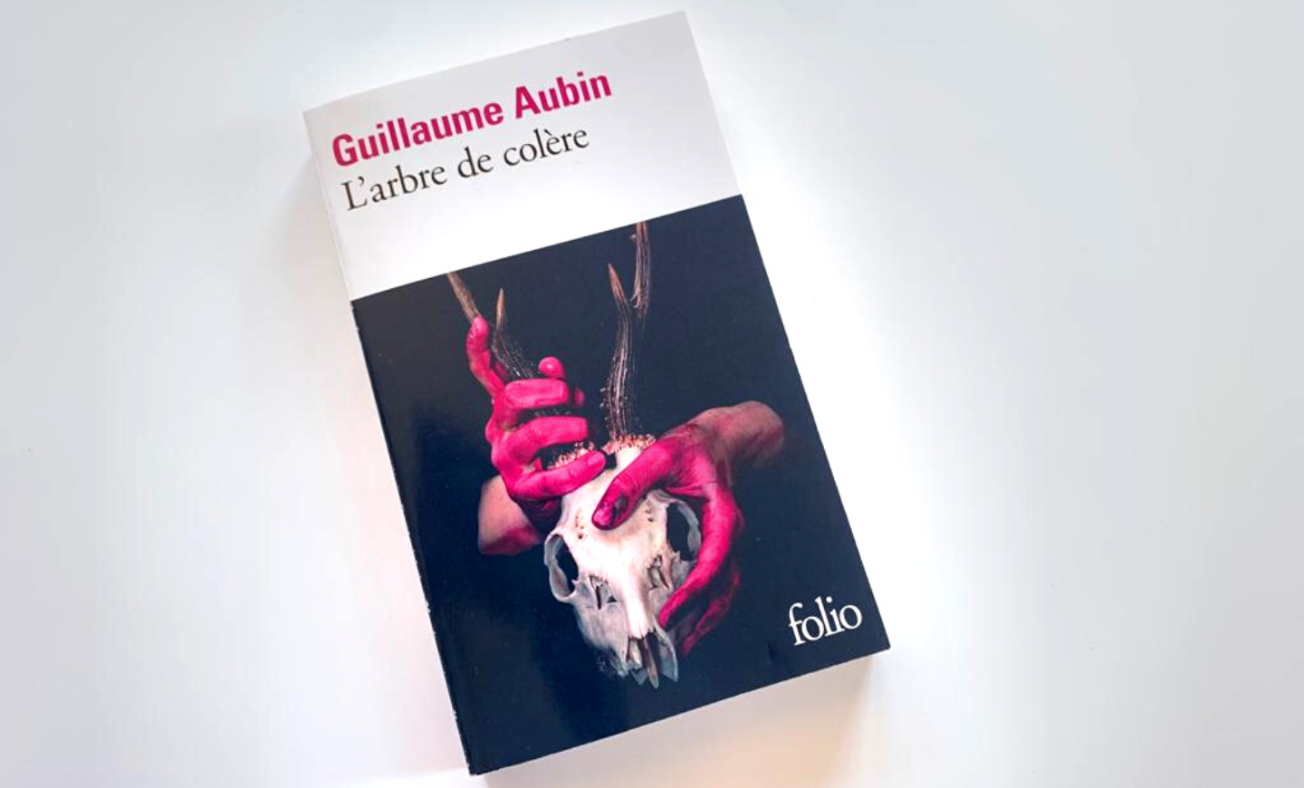 Encuentro con el escritor Guillaume Aubin