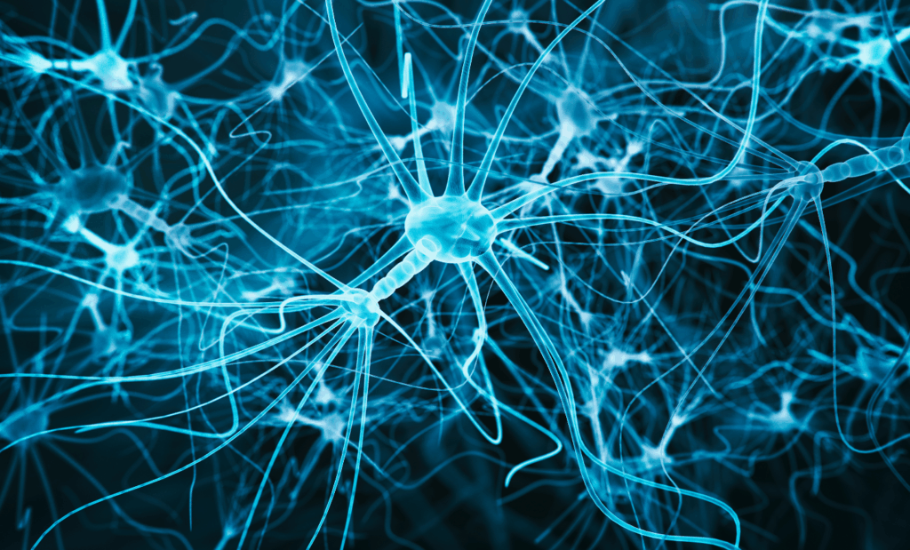 Becas Excellence Chili – Salud pública