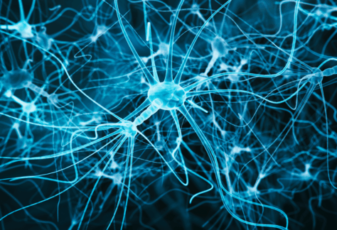 Bourses Excellence Chili – Santé publique