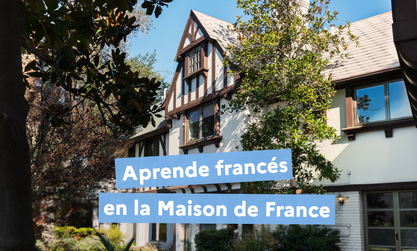Cours de français à La Maison de France