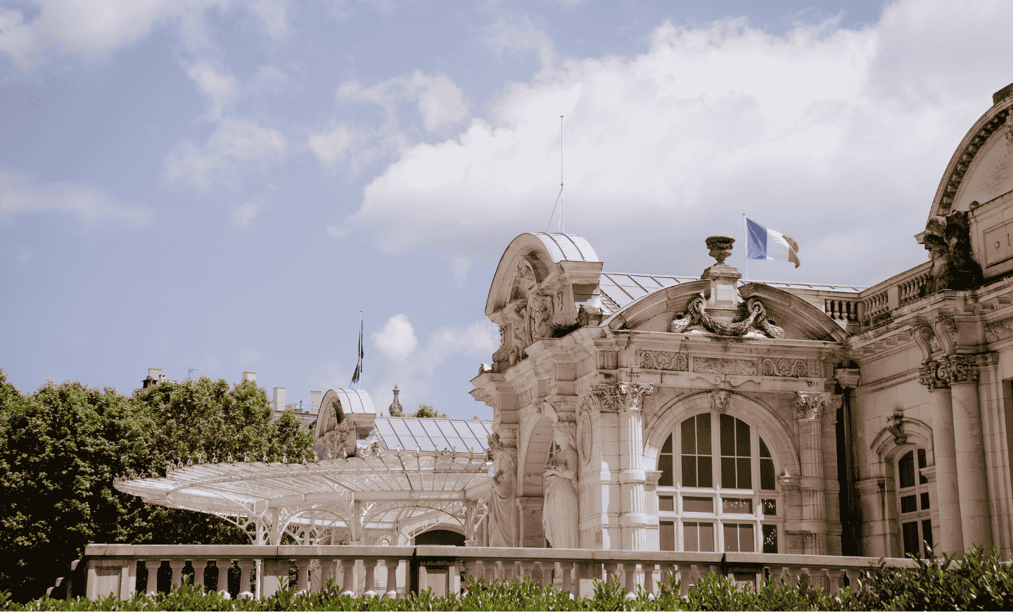 Webinar: Programa de inmersión lingüística y cultural en Vichy (Francia)
